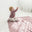 Classic Name Blanket - May Gibbs - Rose Bloom
