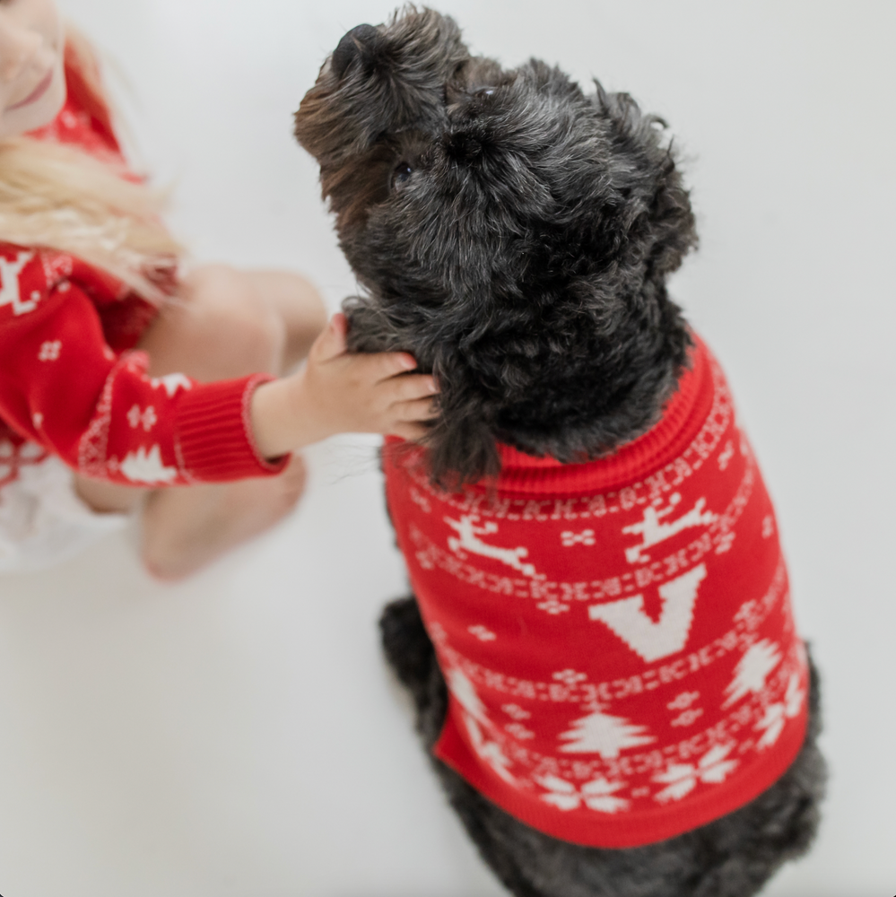 Dog christmas discount jumpers